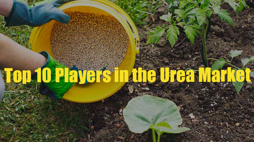 Top 10 Players in the Urea Market