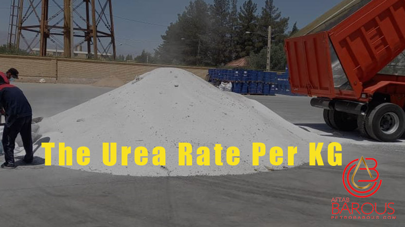 The urea rate per kg