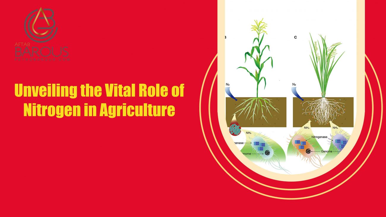 Nitrogen in Agriculture